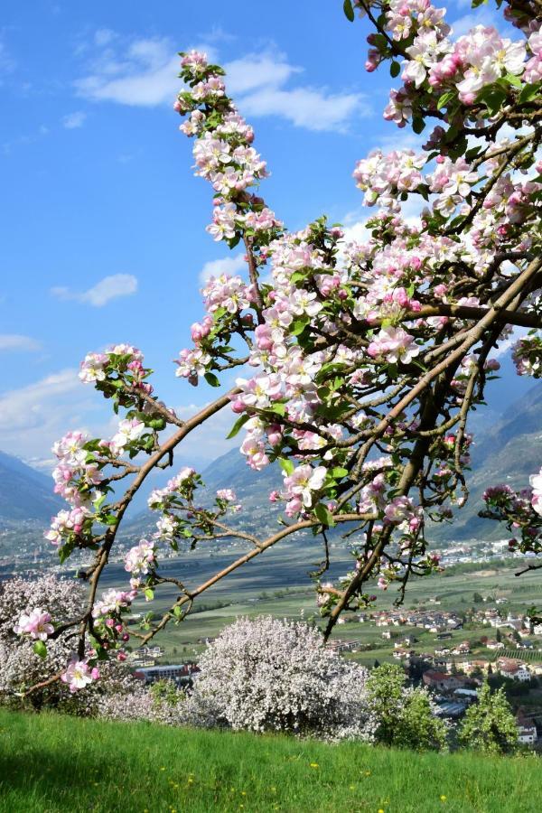 Apartment Rennweg 114 Merano